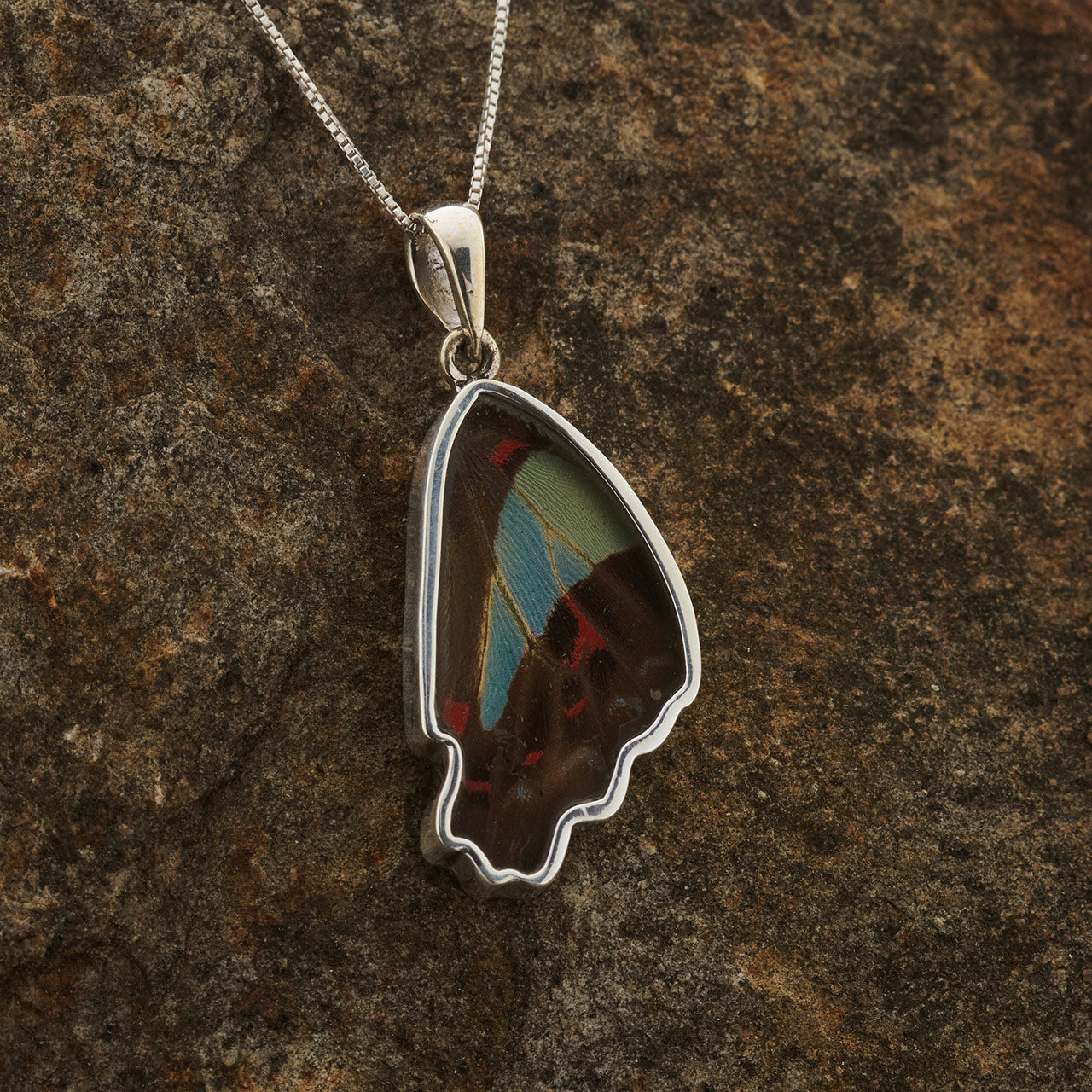 Blue Bottle Butterfly Wing Fine Silver Pendant