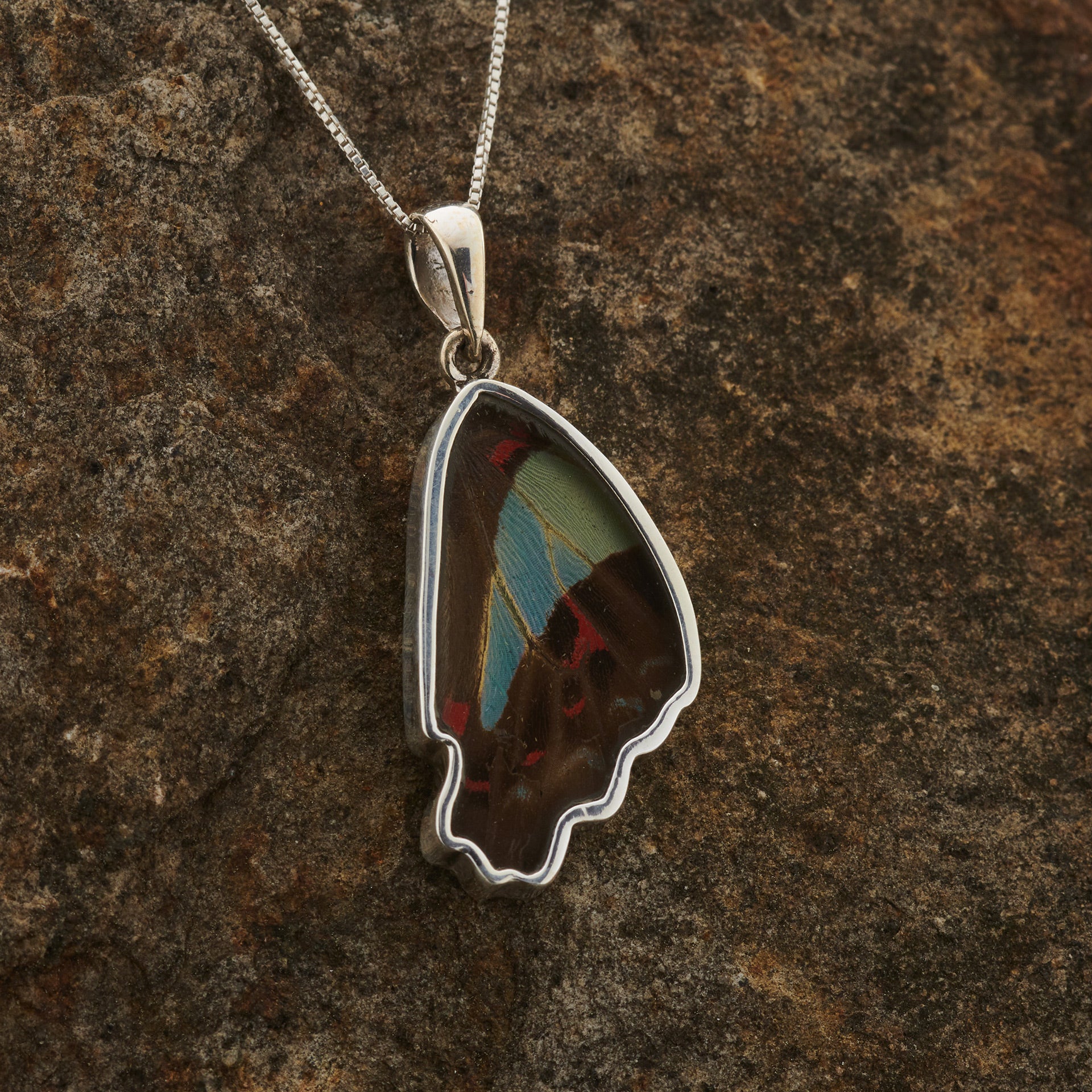 Blue Bottle Hindwings Fine Silver Pendant