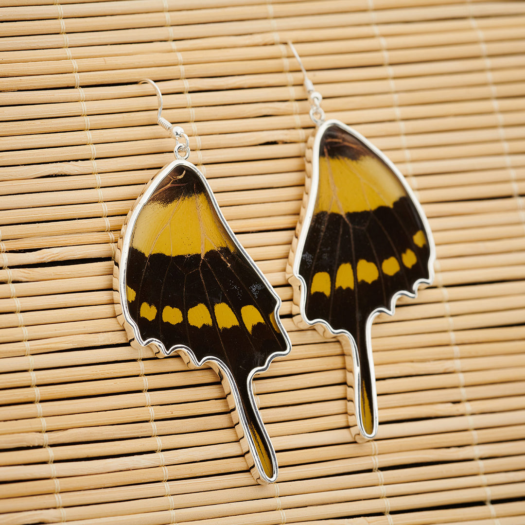 King Swallowtail Butterfly Wing Fine Silver Earrings