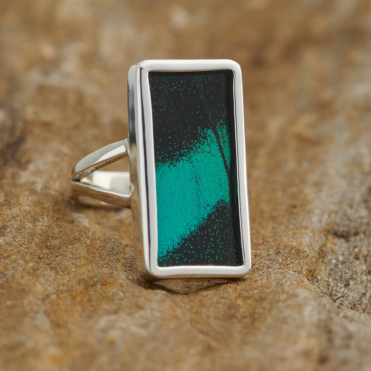 Emerge Rings