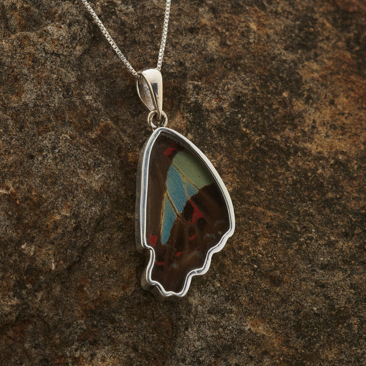 Blue Bottle butterfly wing pendant in fine silver