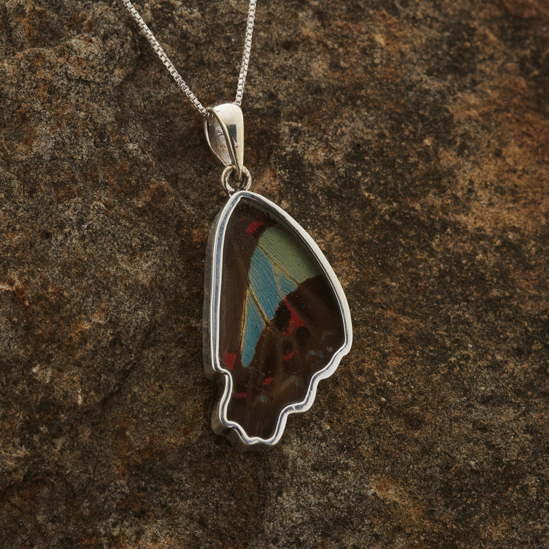 Blue Bottle butterfly wing pendant in fine silver