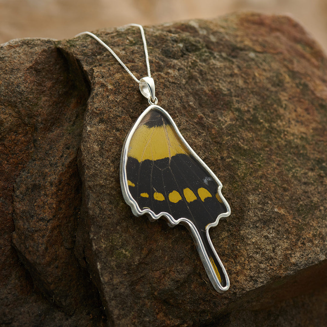 King Swallowtail Small Hindwing Fine Silver Necklace