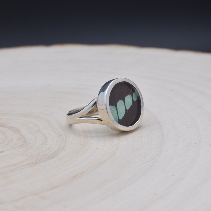Common Bluebottle Fine Silver Circle Ring