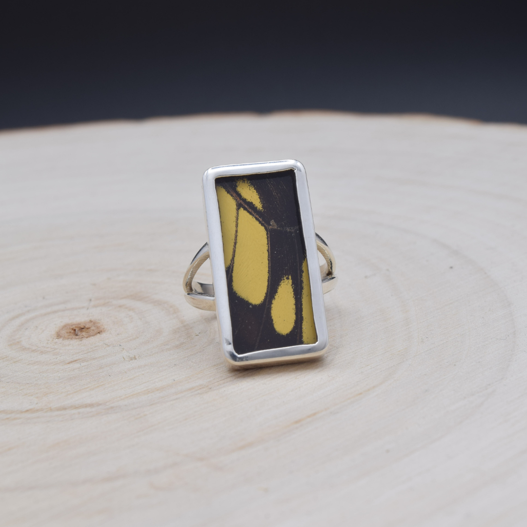 King Swallowtail Fine Silver Rectangle Ring