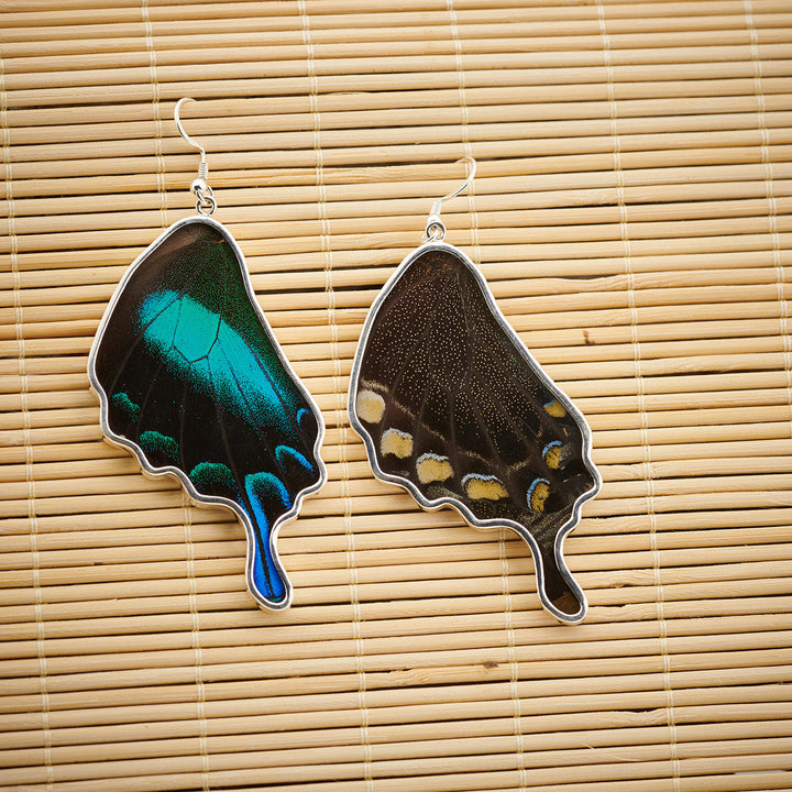 Green Banded Swallowtail Butterfly Wing Fine Silver Earrings
