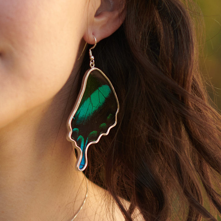 Green Banded Swallowtail Butterfly Wing Fine Silver Earrings