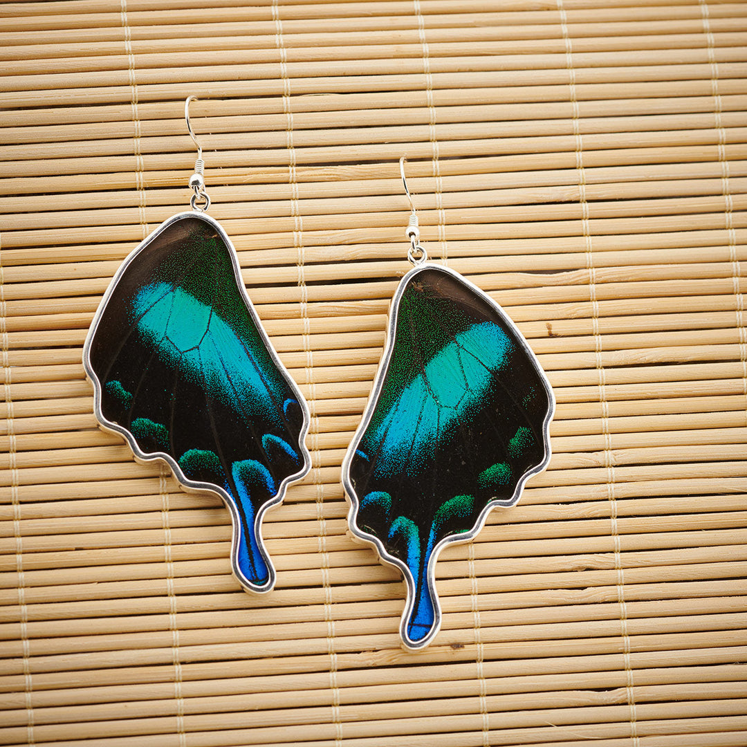 Green Banded Swallowtail Butterfly Wing Fine Silver Earrings