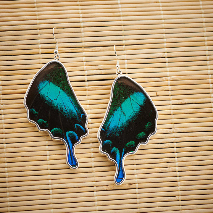 Green Banded Swallowtail Butterfly Wing Fine Silver Earrings