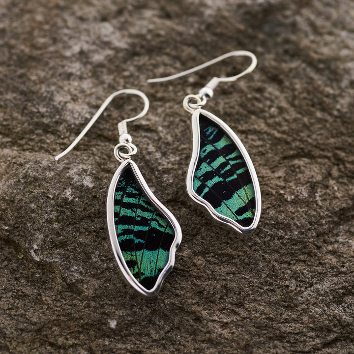 Sunset Moth butterfly wing earrings in fine silver
