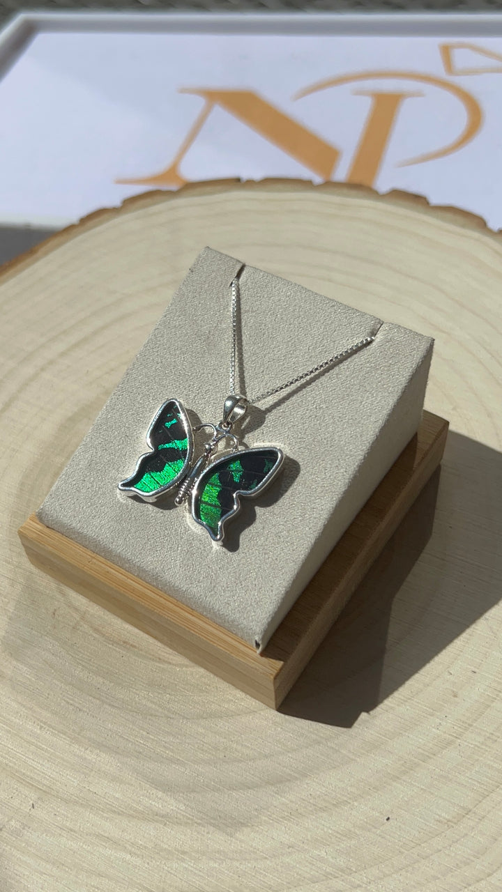 Sunset Moth butterfly wing pendant in fine silver