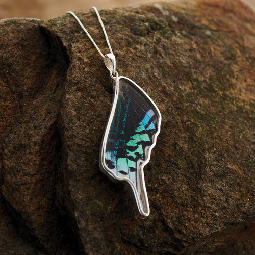 Leilus Butterfly Wing Fine Silver Pendant