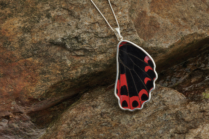 Scarlet Mormon Hindwing Fine Silver Necklace