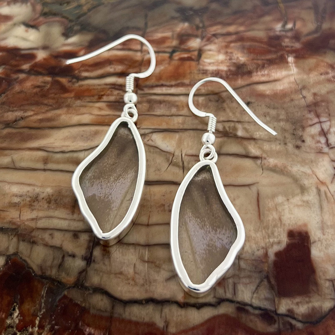 Bl. Morpho Wing Fine Silver Earrings