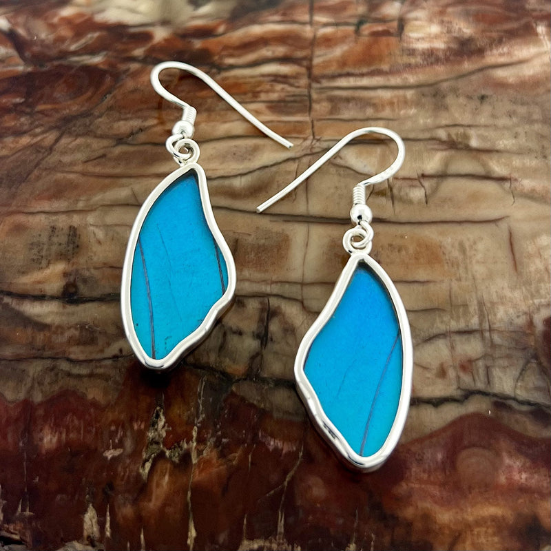 Blue Morpho butterfly wing earrings in fine silver